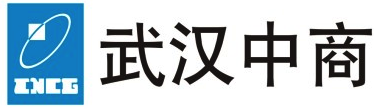武汉中商